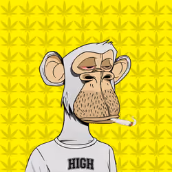 HiGH APE #6