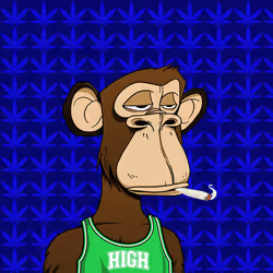 HiGH APE #256