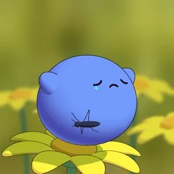 Pollen #2428