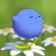 709