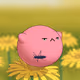 2828