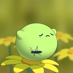 Pollen #997