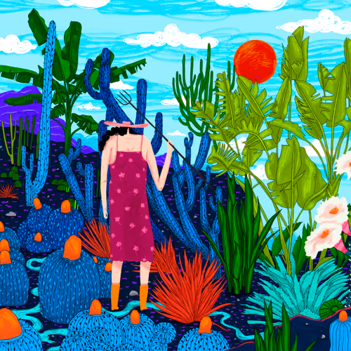 Cactusland V2