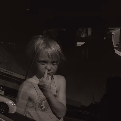 Depiction of Life V2