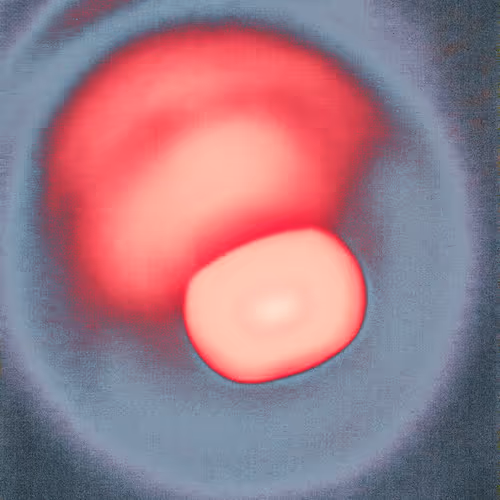 Lux By Figure31