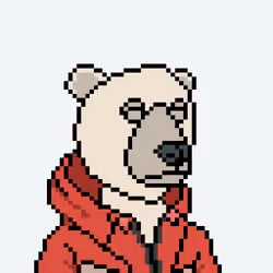 NokayBears #2045