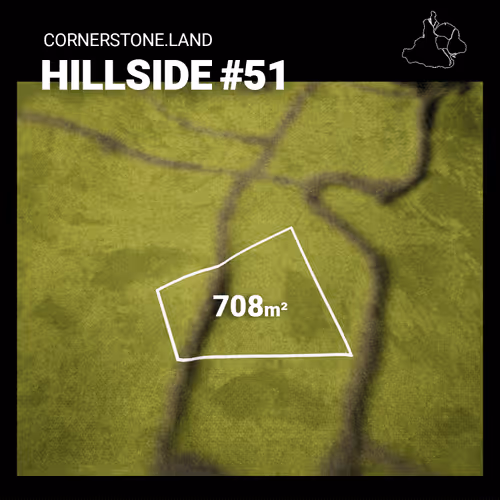 HILLSIDE #51