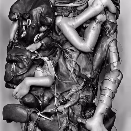 Fluxus By Inigo Bilbao