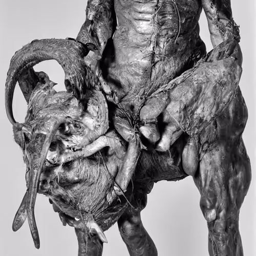 Fluxus By Inigo Bilbao