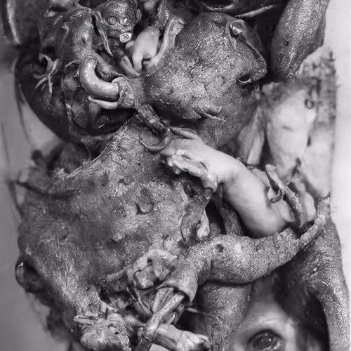 Fluxus By Inigo Bilbao