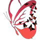 24