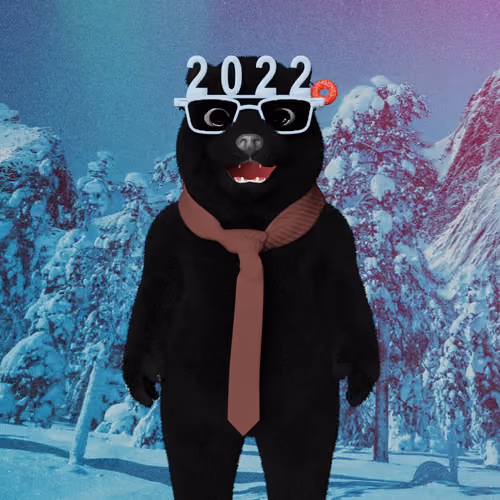 Polar Pal 1593