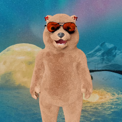 Polar Pal 21