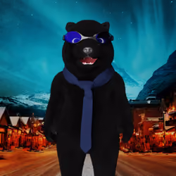 Polar Pal 353
