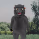 3337