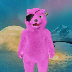 Polar Pal 778