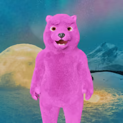 Polar Pal 307