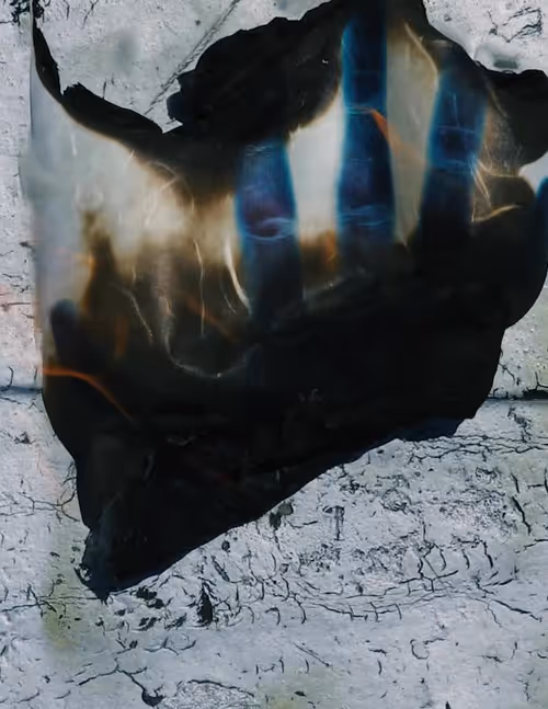 Item #52200050004 Media