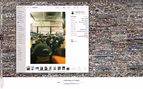 Item #52200040004 Media