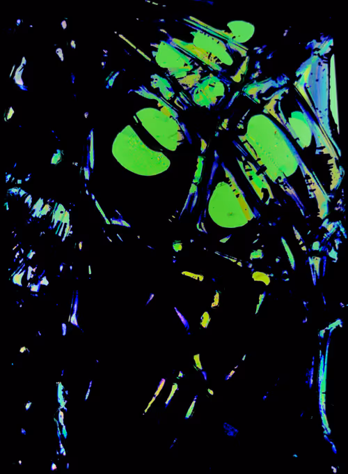 Item #52200030005 Media