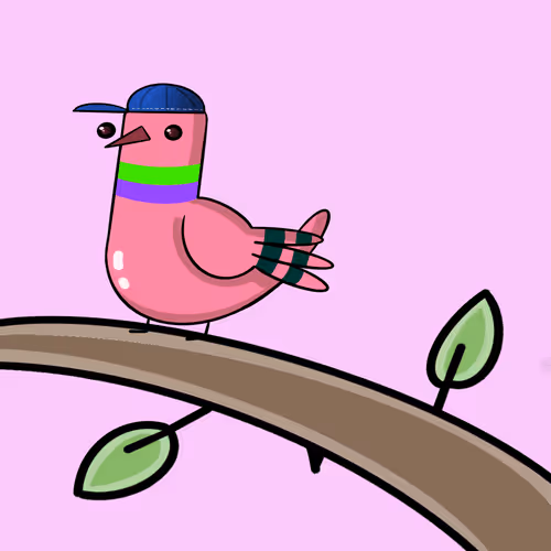 Pigeon Doods Official