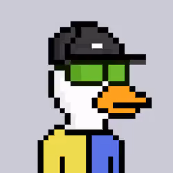 Ok Ducks #1633