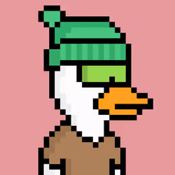 537