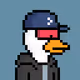 Ok Ducks #1722
