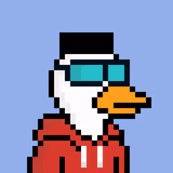 529