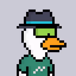 Ok Ducks #1885