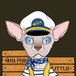 Angry Sphynx #5