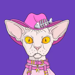 Angry Sphynx #2