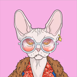 Angry Sphynx #1