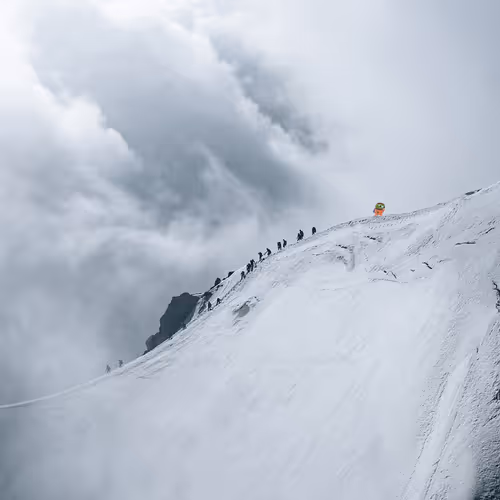 Sergio Antoni Collabs