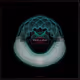 1036