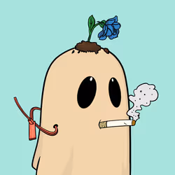 Spooky Boy 5994