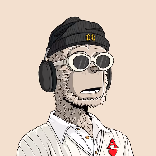 y00t #12629