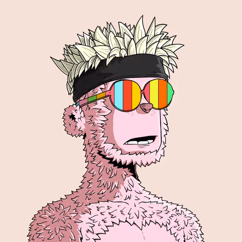 y00t #11495