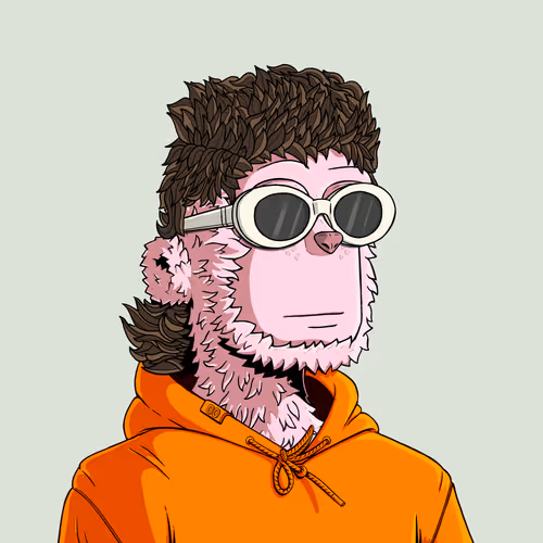 y00t #9969