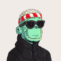y00t #1446