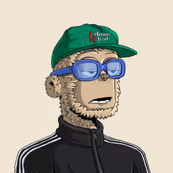 y00t #2588