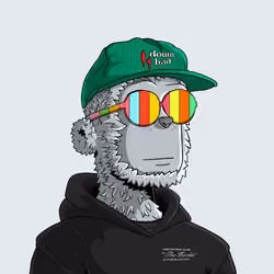 y00t #10304