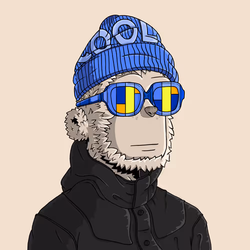 y00t #13157