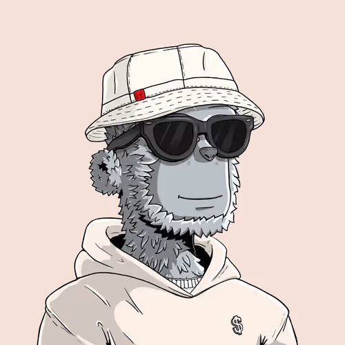 y00t #9603