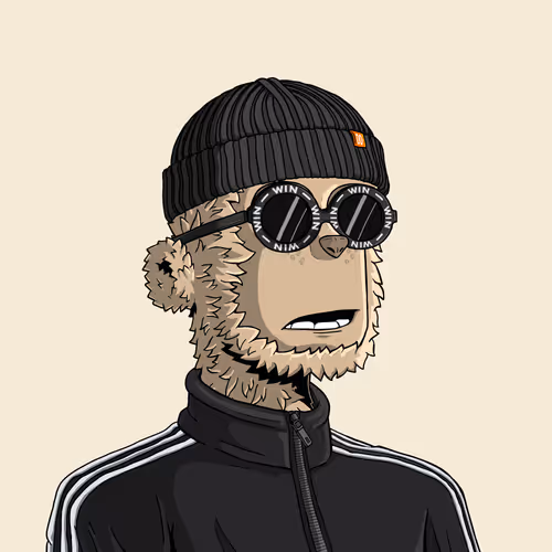 y00t #7006
