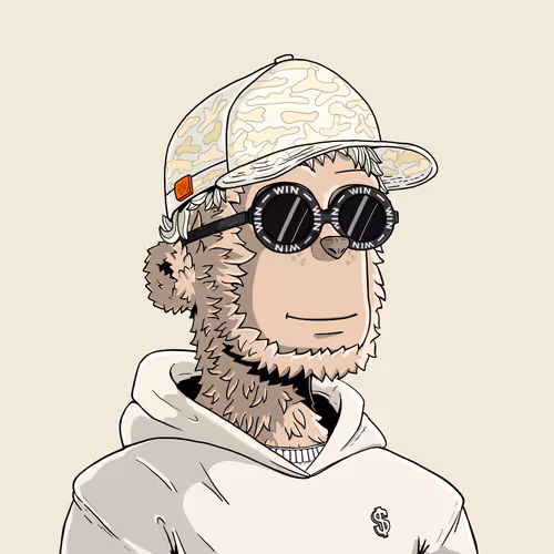 y00t #8677