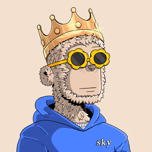 y00t #10856