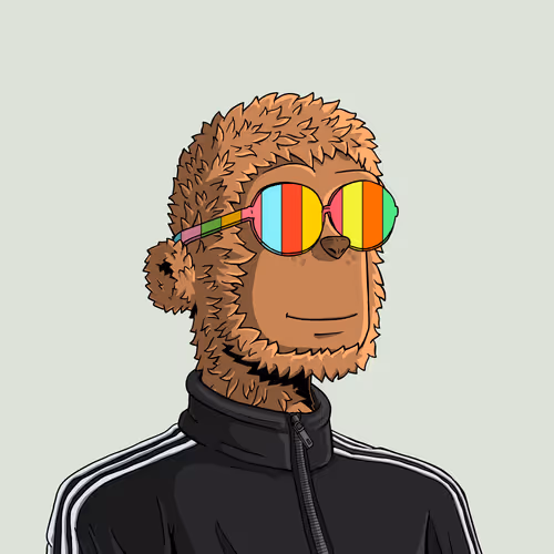 y00t #8297