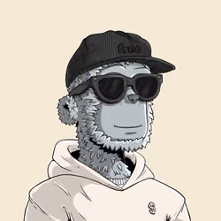 y00t #7322
