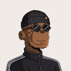 y00t #855